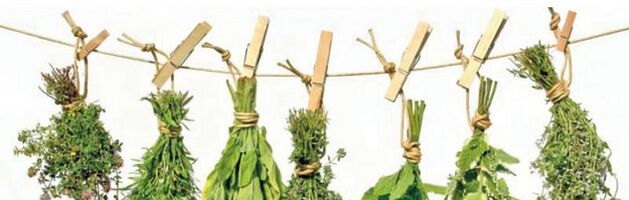 Hierbas efectivas de la prostatitis