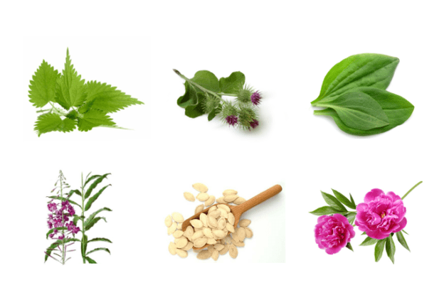 Plantas con prostatitis