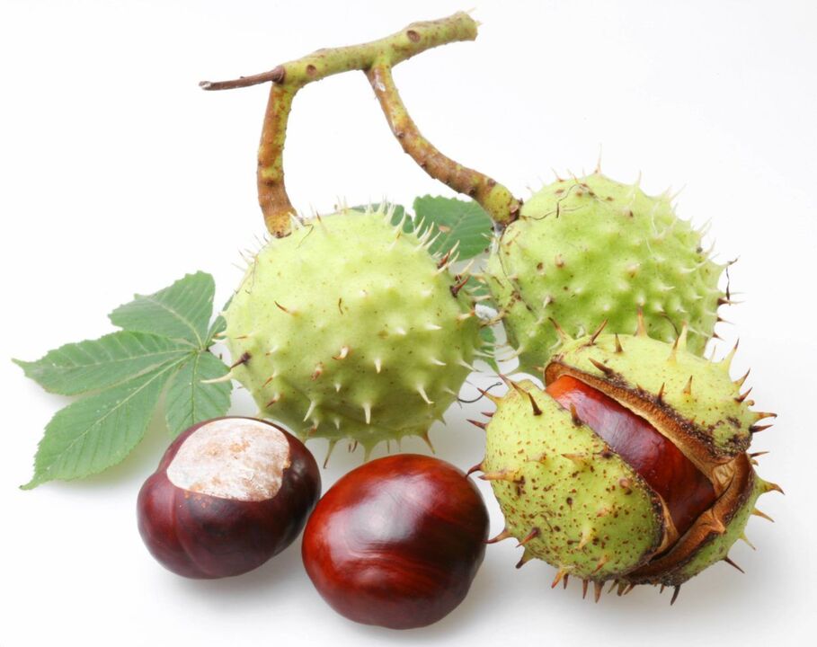 cáscara de castaña para el tratamiento de la prostatitis